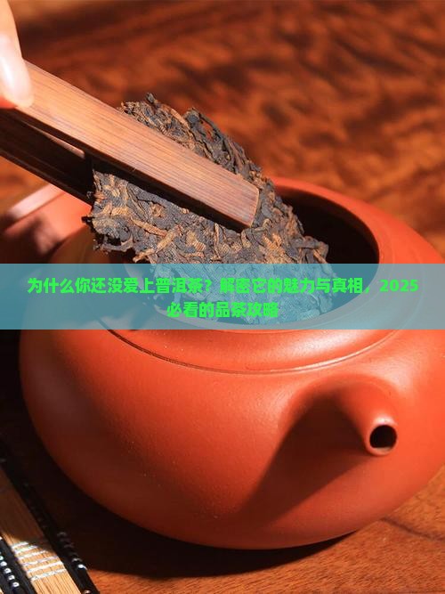 为什么更喜欢普洱茶