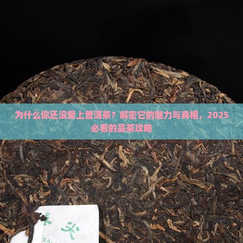 为什么更喜欢普洱茶
