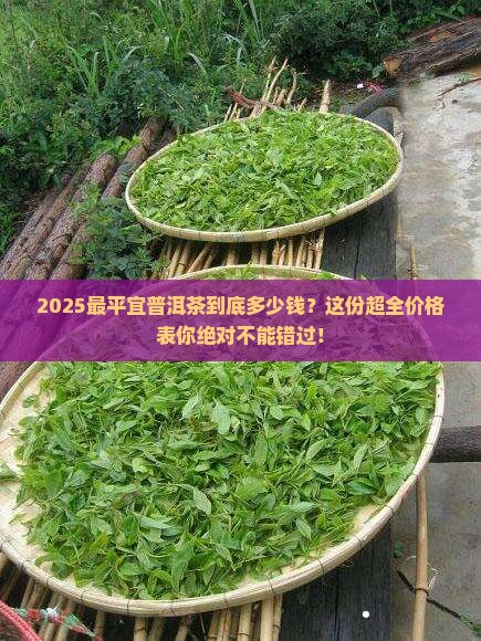最平宜普洱茶什么价格表