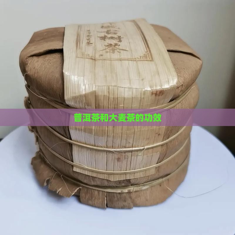 普洱茶和大麦茶的功效