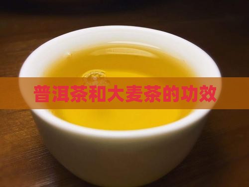 普洱茶和大麦茶的功效