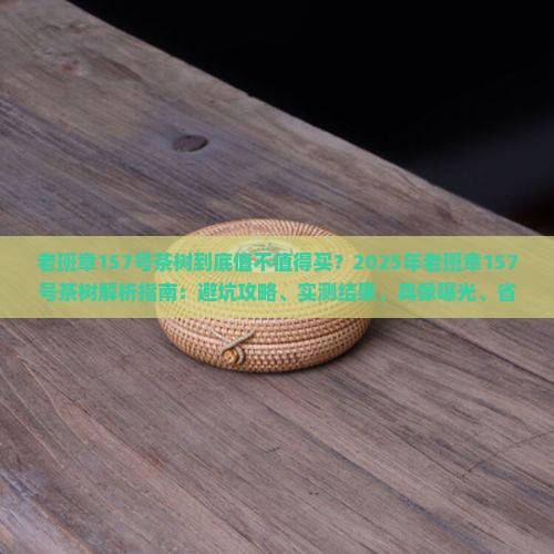 老班章157号茶树