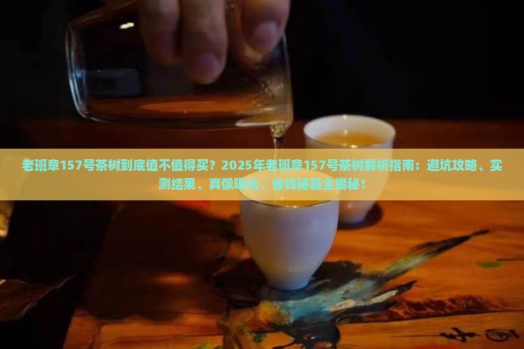 老班章157号茶树