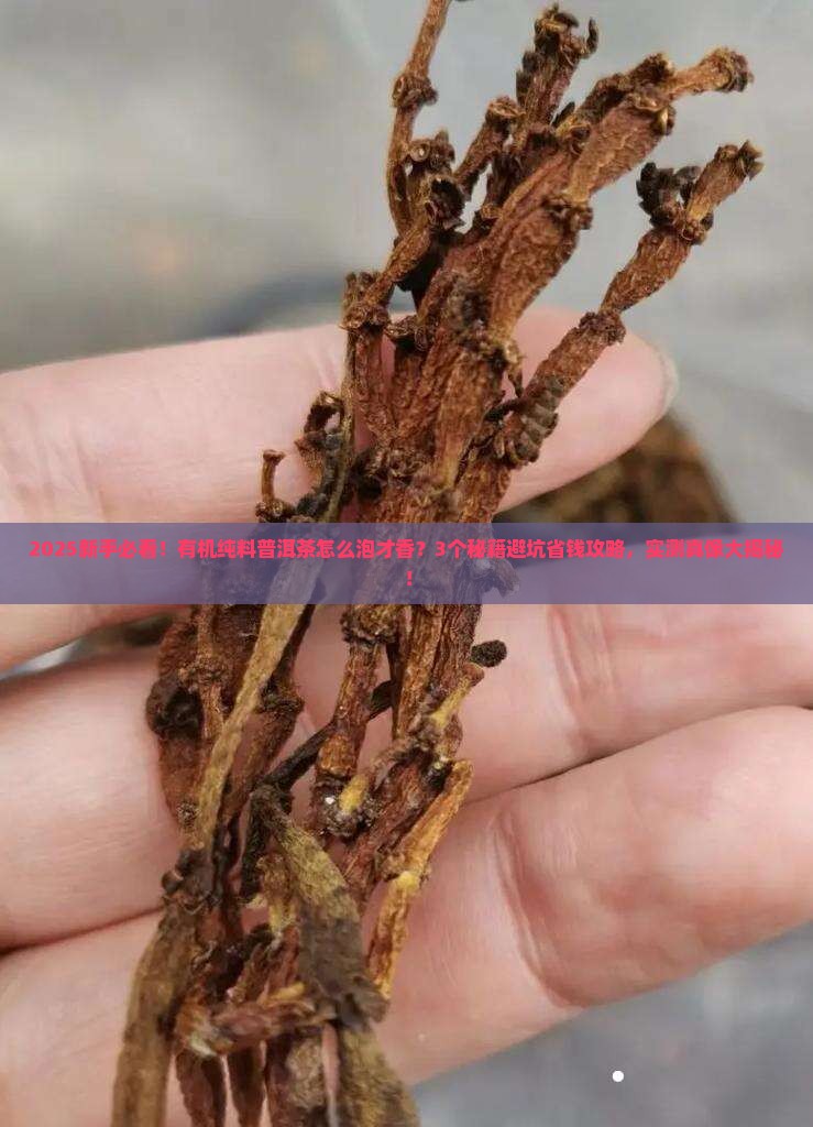 有机纯料普洱茶怎么泡
