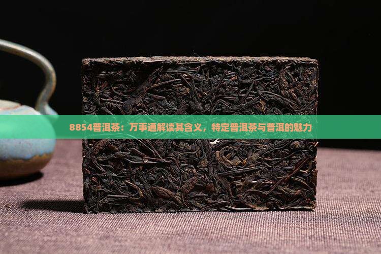 8854普洱茶