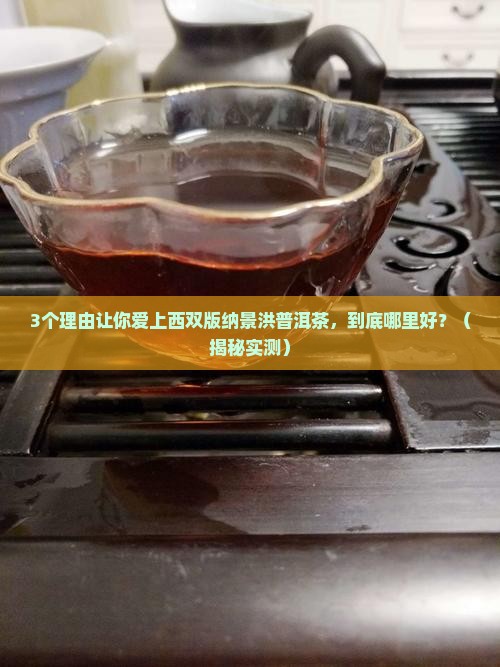 中国西双版纳景洪普洱茶