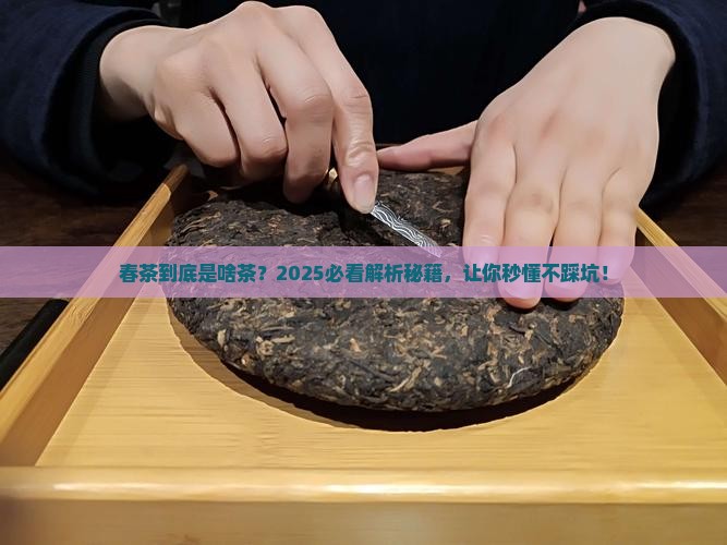 春茶属于什么茶类