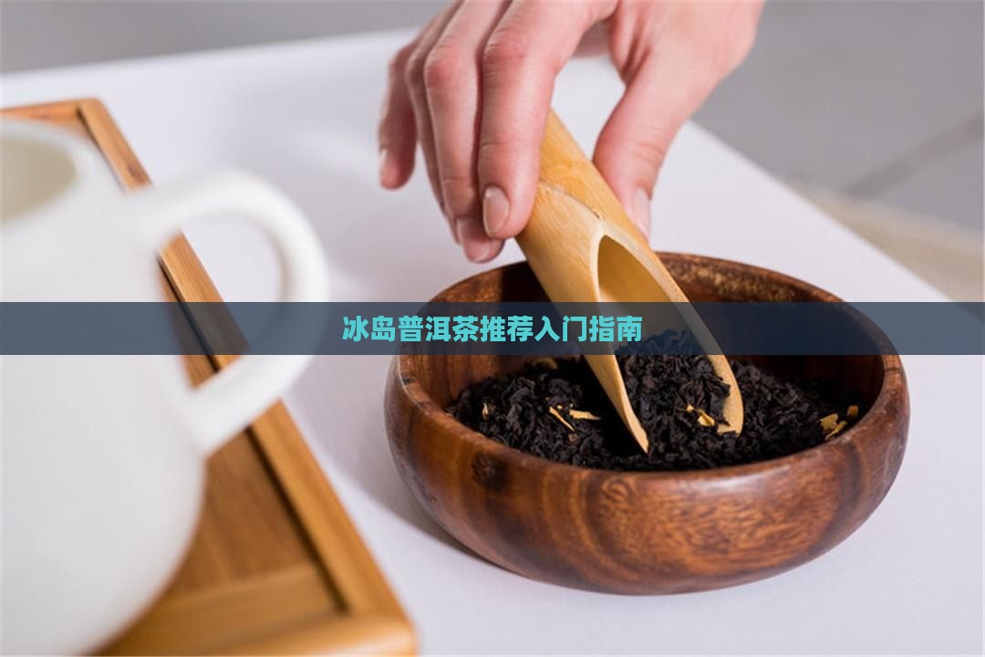 冰岛普洱茶入门推荐