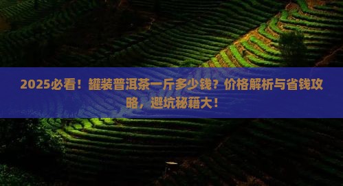 罐装的普洱茶一斤多少钱