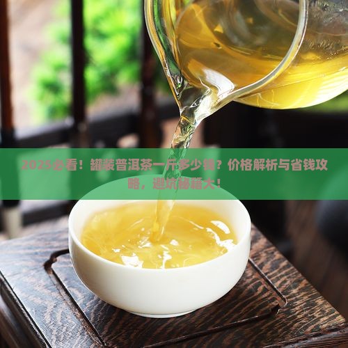 罐装的普洱茶一斤多少钱