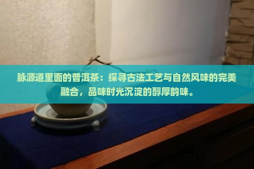 脉源道里面的普洱茶