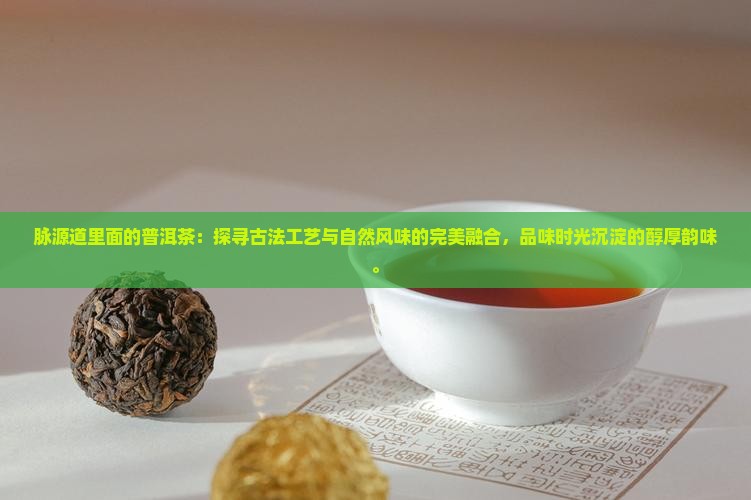 脉源道里面的普洱茶