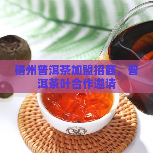 梧州熟普洱茶品牌加盟
