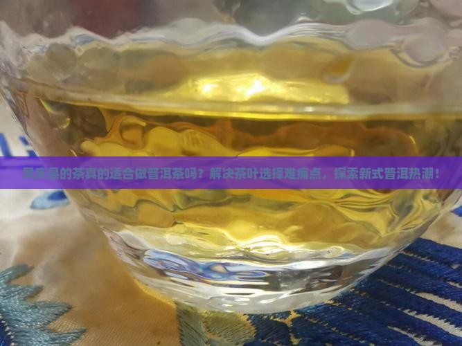 凤庆县的茶适合做普洱茶