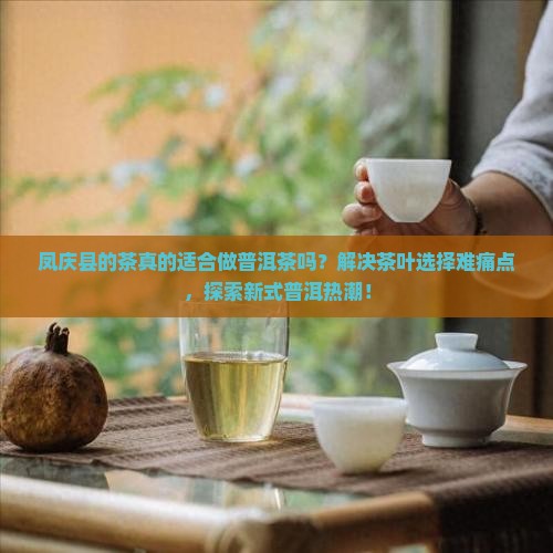 凤庆县的茶适合做普洱茶