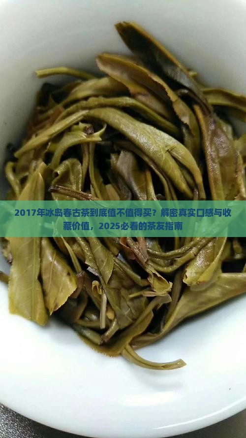 2017年冰岛春古茶