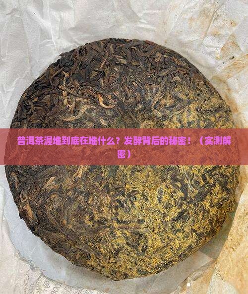 在普洱茶渥堆时