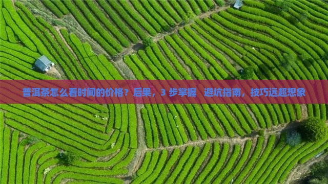 普洱茶怎么看时间的价格