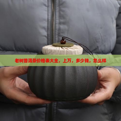 品牌老树普洱茶价格表