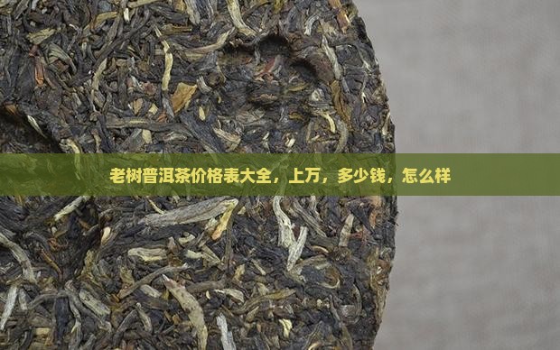 品牌老树普洱茶价格表