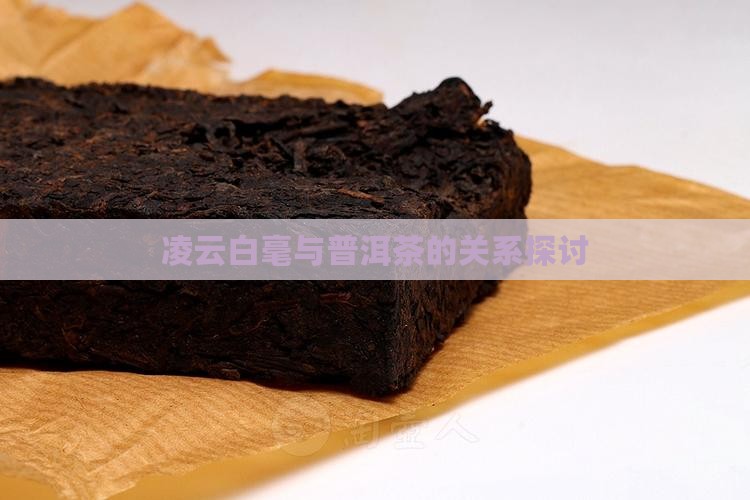 凌云有没有普洱茶