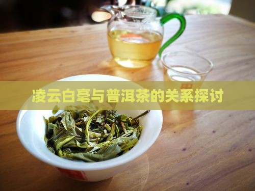 凌云有没有普洱茶