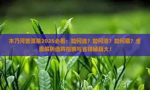 木乃河普洱茶101