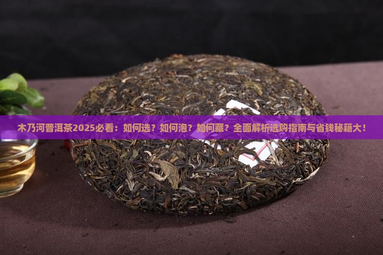 木乃河普洱茶101