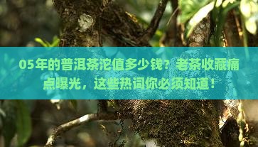 05年的普洱茶沱值多少钱