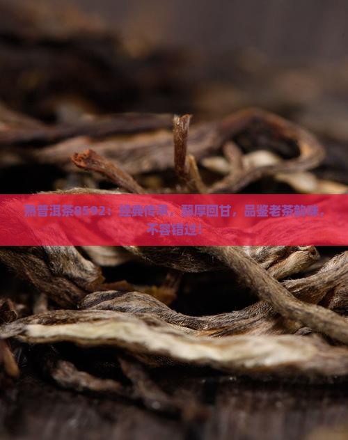 熟普洱茶8592
