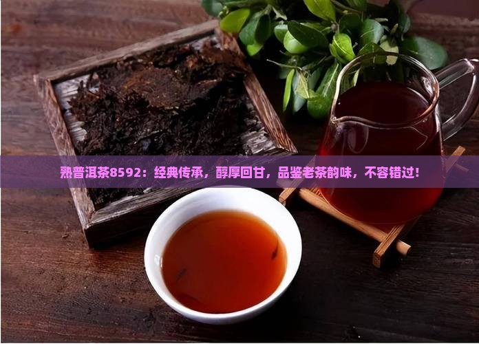 熟普洱茶8592