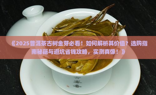普洱茶古树金芽