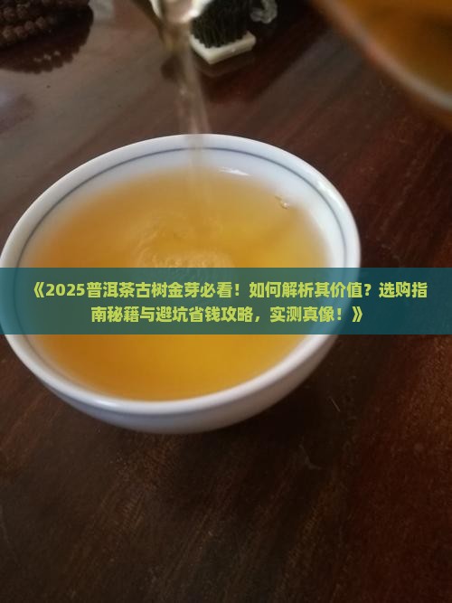 普洱茶古树金芽