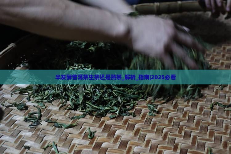 半发酵普洱茶生茶还是熟茶
