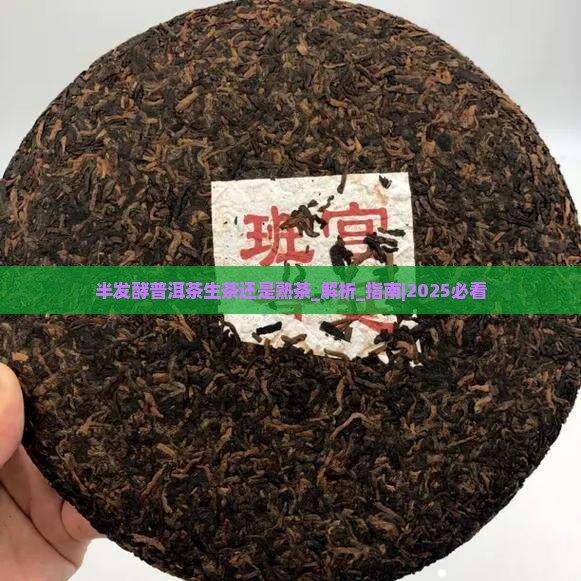 半发酵普洱茶生茶还是熟茶