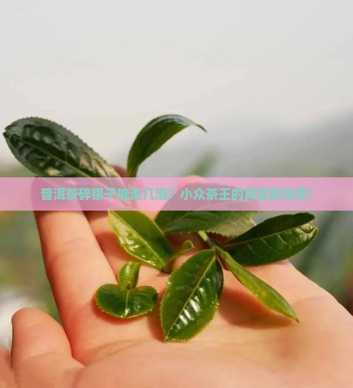 普洱茶碎银子能泡几泡