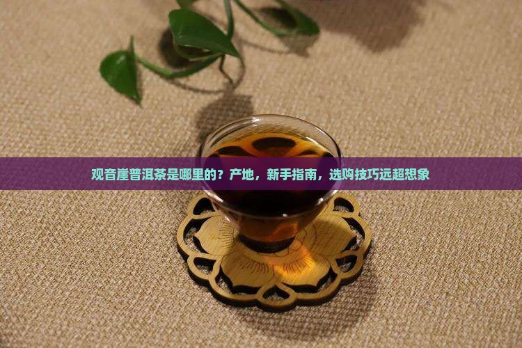 观音崖普洱茶是哪里的