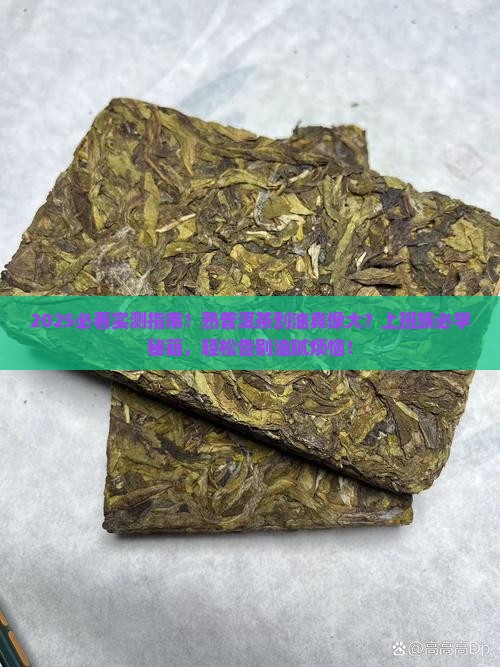 熟普洱茶可以刮油吗