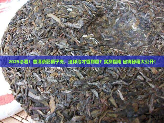 普洱茶带橘子壳的怎么泡