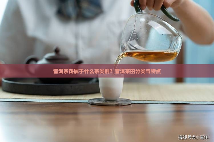 普洱茶饼属于什么茶类别