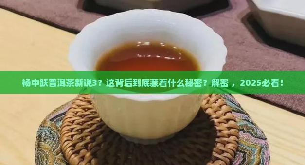 杨中跃普洱茶新说3