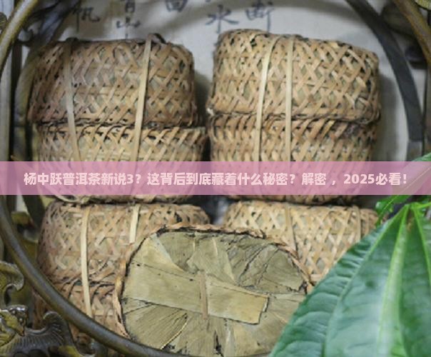 杨中跃普洱茶新说3