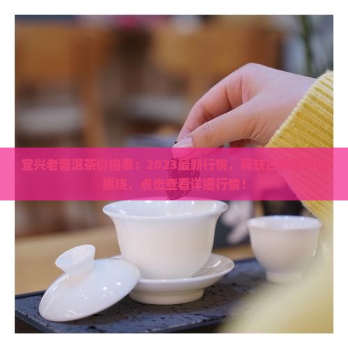 宜兴老普洱茶价格表