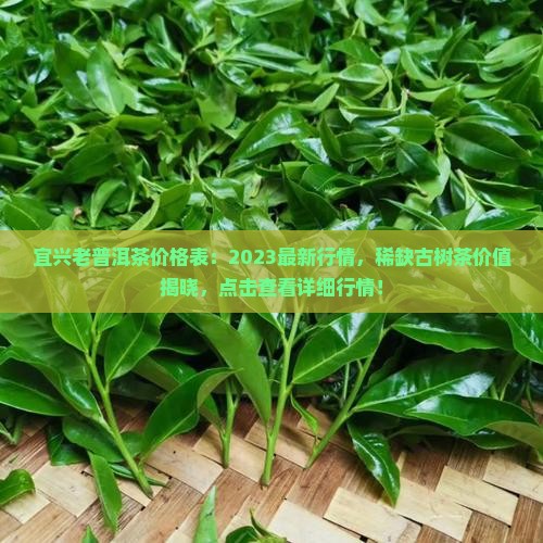 宜兴老普洱茶价格表