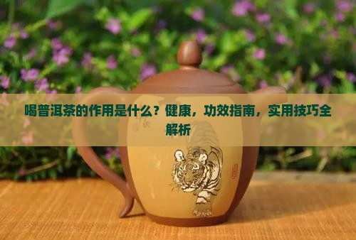 喝普洱茶的作用是什么