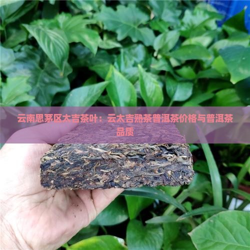 云太吉熟茶普洱茶