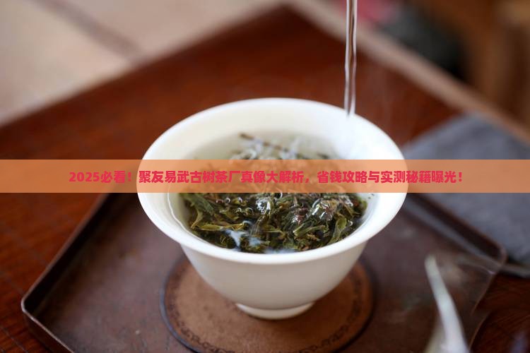聚友易武古树茶厂