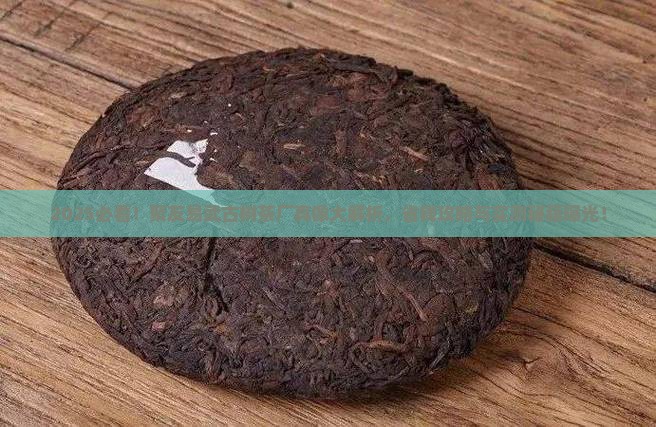 聚友易武古树茶厂