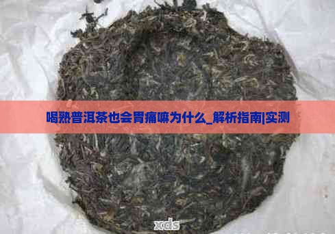喝熟普洱茶也会胃痛嘛为什么