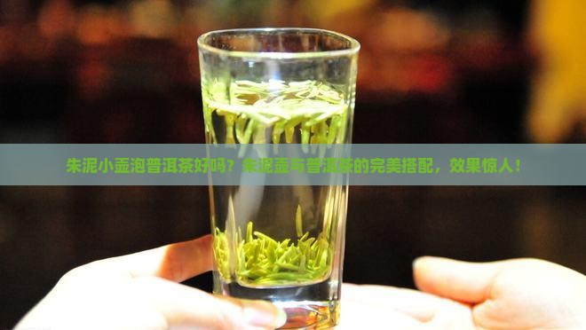 朱泥小壶泡普洱茶好吗